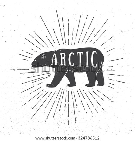 Vintage arctic white bear with slogan. Illustration
