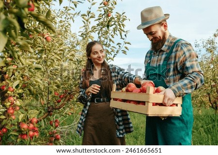 Image, Stock Photo Apple harvest or man with hat sits under a ripe apple tree