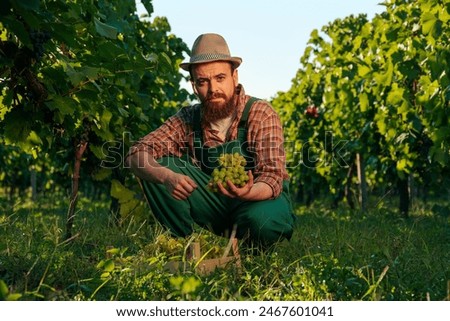 Similar – Image, Stock Photo Crop person taking grape juice in glass