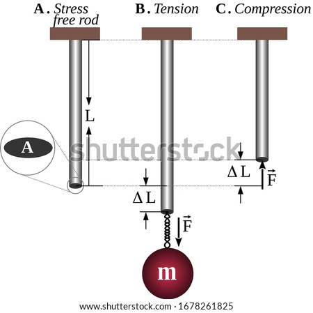 Young's modulus is a measure of the stiffness of a material. It is equal to the ratio between the stress experienced by an object and the corresponding elastic deformation under load along an axis.