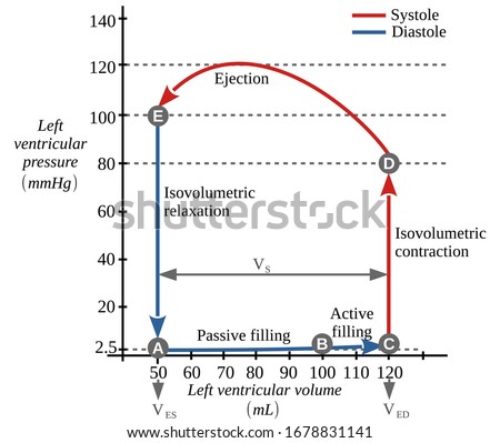 Left ventricular Pressure-volume diagram. It is a useful diagnostic graphical tool as they allow the measurement of various physiological parameters associated with the cardiac dynamics, such as the v