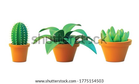 Vector set houseplant cactus and succulent  in pot, realistic tree front view. 3D Illustration green  of indoor plant isolated on white background.