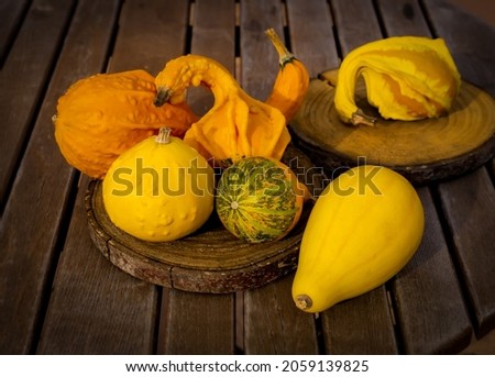 yellow orange Cucurbita pumpkin of wood background.vegetable food. farm garden.trick or treat. halloween october decoration .season autumn.zierkürbis harvest. Stock foto © 