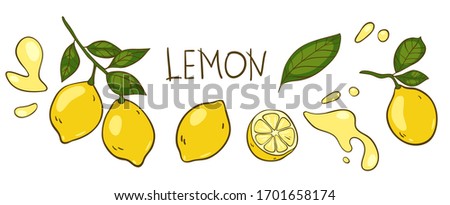 Lemon vector elements and lettering set. The inscription 