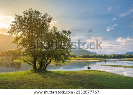 Similar – Image, Stock Photo Wild forest, river, meadow sunset panorama. Idyllic autumn sunny landscape, rural aerial scene