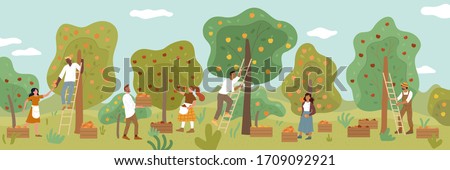 Similar – Image, Stock Photo Ladder with tree in spring