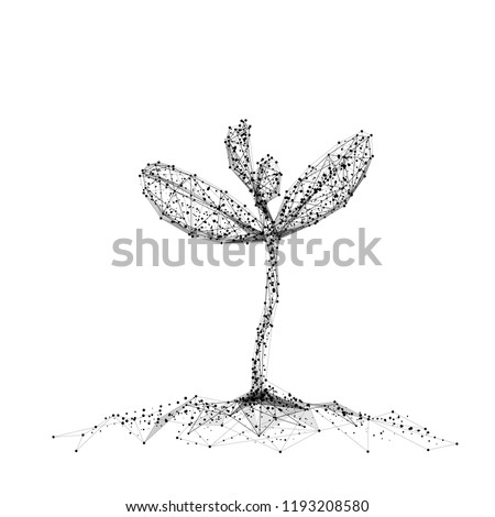 Seedling. Isolated black vector illustration in low-poly style on a white background. The drawing consists of thin lines and dots. Polygonal image on topics of vegetables or food. Low poly
