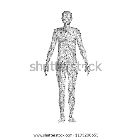 Human body. Isolated black vector illustration in low-poly style on a white background. The drawing consists of thin lines and dots. Polygonal image on topics of science or medicine. Low poly EPS.