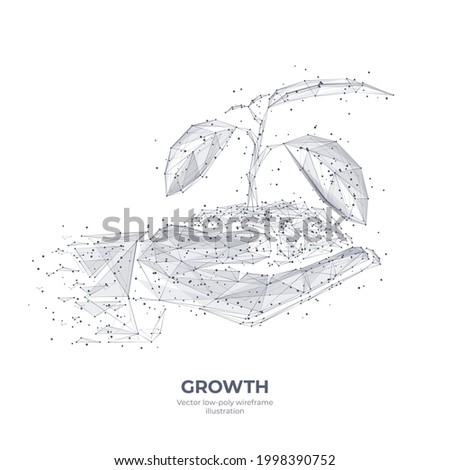 Digital 3d hands holding soil with sprout. Abstract sketch drawn wireframe of plant isolated in white. Growth, environment, nature, ecology concept. Vector polygonal mesh with dots, lines and triangle