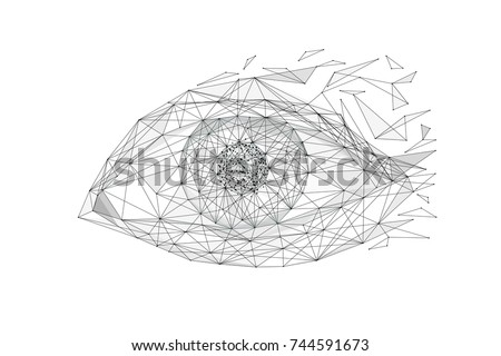 Eye low poly wireframe isolated black on white background. Abstract mash line and point origami. Vector polygon illustration. Technoligy eyes with geometry triangle. Light connection digital structure