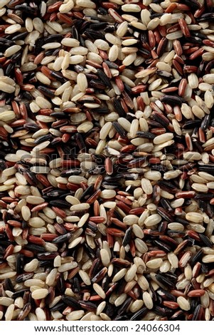 organic variety color of rice grain, closeup texture.
