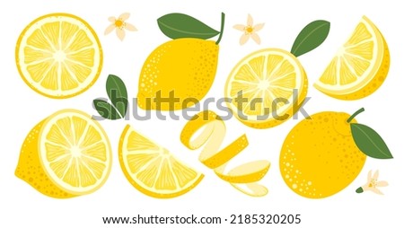 Lemon set. Fruits, slices, peel, leaves, flowers. Vector clipart.