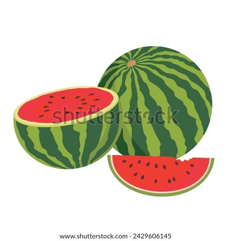 A ripe watermelon is whole and half. A group of whole watermelon, halves and slices. Vector illustrated clipart.