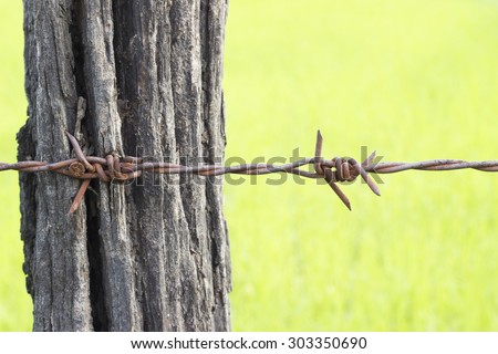 Electrification of barbed wire to protect wildlife.