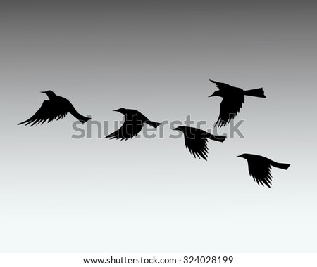 Crows Flying on Early Morning 