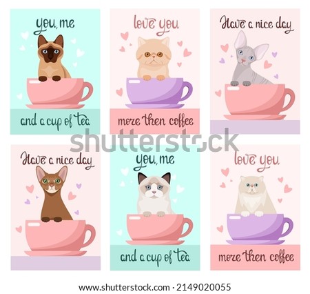 A set of postcards with funny cats. Cartoon design.
 Foto stock © 