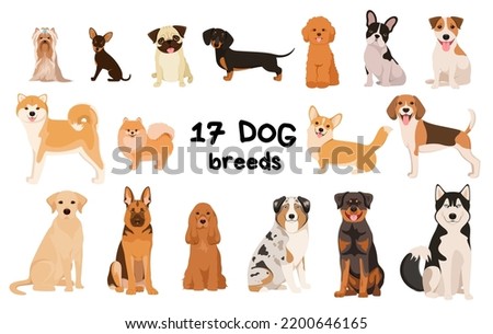 Labrador Dog Drawing | Free download on ClipArtMag