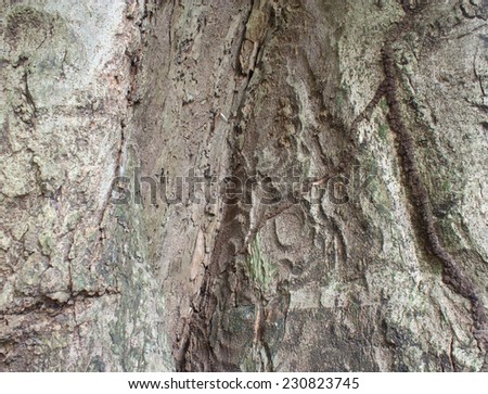 The surface texture of the tree is a photo of a natural tree.
