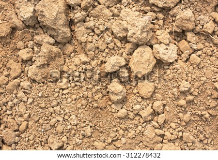Soil is a natural clay minerals are naturally many species suitable for planting, the soil is fertile plants grow well.