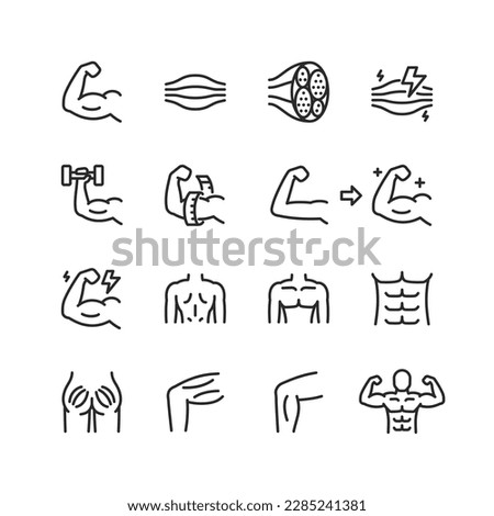 Muscles, linear style icons set. Muscle tissue, structure and muscles of different parts of the body. Increase strength and volume, gym, bodybuilding. Editable stroke width