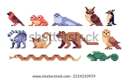 Madagascar Animals pixel art set. Rare exotic wildlife collection. Lemurs, fossa, and tenrecs. 8 bit sprite. Game development, mobile app.  Isolated vector illustration.