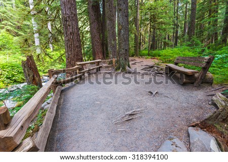 some scene when walk in pathway to Sol Duc waterfall in Olympic national park,Washington State.Usa