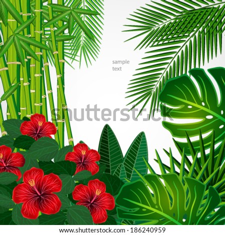 Tropical Floral