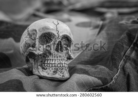 black and white still life with skull on military chintz