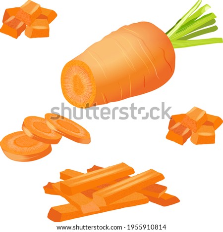 Carrots set for banners, flyers. Half carrot, slice carrot. Diced carrots. Carrots, cut into strips. Fresh organic and healthy, vegetarian vegetables. Vector illustration isolated on white background.