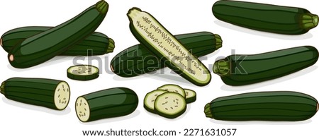 Set of Black Beauty Zucchini or Dark Green Zucchini. Courgette or marrow. Summer squash. Cucubits. Fruits. Vegetables. Cartoon style. Vector illustration isolated on white background.