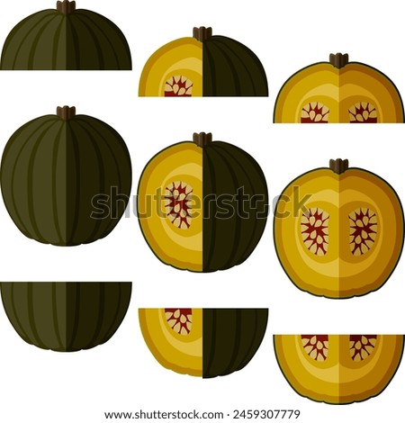 Set of Zapallo Macre Squash. Winter squash. Cucurbita maxima. Fruits and vegetables. Flat style. Isolated vector illustration.