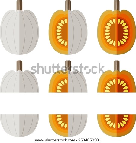 Set of Full Moon pumpkin. Winter squash. Cucurbita maxima. Vegetables. Flat style. Isolated vector illustration.