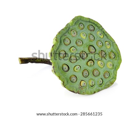 Lotus seeds green isolated on white.