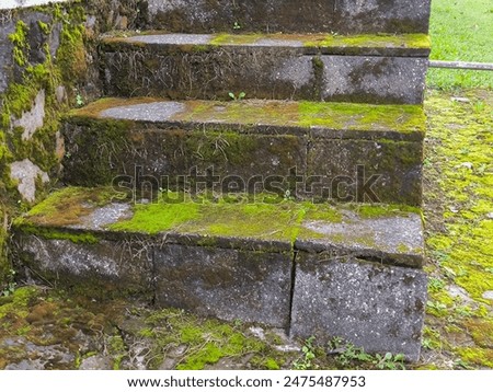 Foto Bild Treppen, nach oben Moos