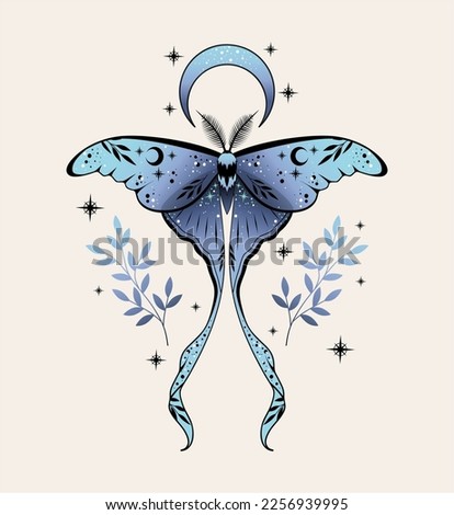 Luna Moth Drawing | Free download on ClipArtMag