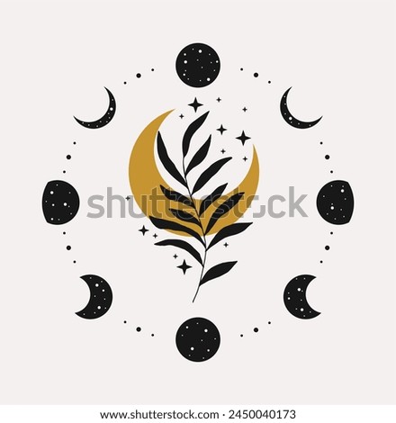 Moon phases print. Leaves and crescent. Elegant illustration.