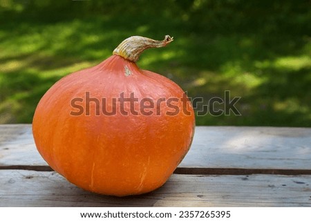 Similar – Image, Stock Photo Hokkaido pumpkin in red in a round basket on old cobblestones in the Hanseatic town of Lemgo near Detmold in East Westphalia-Lippe