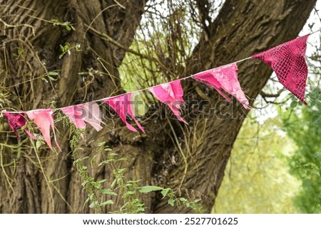 Similar – Image, Stock Photo Pink pennant and autumn anemone in garden