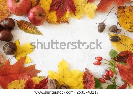 Apples, acorns and dried leaf arranged on a white background showing the concept of Autumn Season and Harvest