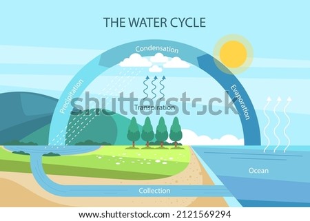Water cycle infographic. Ecosystem concept. Water recycle, evaporation, condensation ecology diagram. Groundwater, water cycle. Hydrologic landscape. Geography school scheme. Vector illustration.