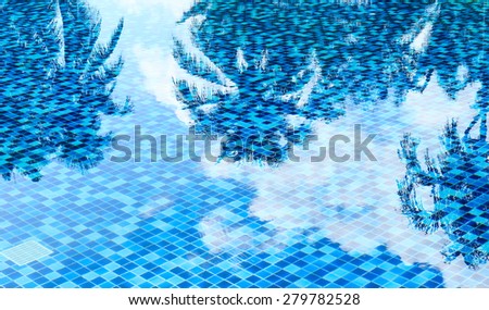 Swimming Pool and Coconut Trees