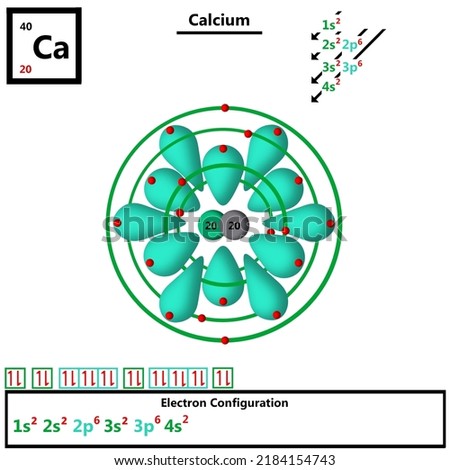 Calcium Ca periodic table element atomic model displaying protons and neutrons in nucleus vector electronic configuration of electrons in shells and orbitals orbiting atom quantum inorganic chemistry.