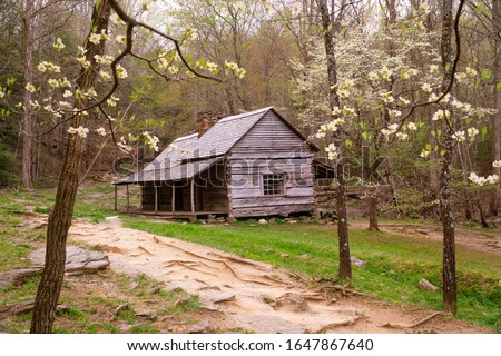 Noah 'Bud' Ogle Cabin homestead in Smoky Mountains
 Imagine de stoc © 