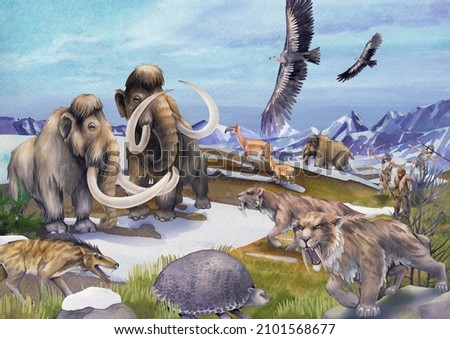 Similar – Image, Stock Photo ice age | is always