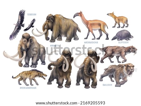 Similar – Image, Stock Photo ice age | is always