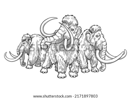 Composition of a three graphic walking mammoths in a front and side views. Vector graphic illustration of the Ice Age