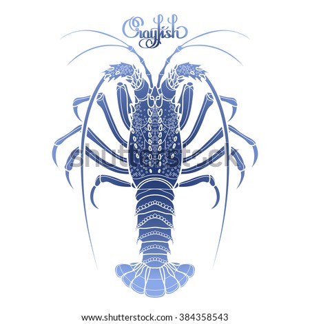 Graphic vector crayfish drawn in line art style. Spiny or rocky lobster. Sea and ocean creature in blue colors. Top view. Seafood element. Coloring book page design