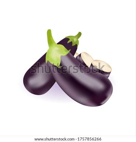 Eggplants. Eggplant Fresh vegetables. Collection of eggplant. Fresh ripe eggplant with green stalks isolated on a white background. Vegetarian food. Ripe juicy vegetable. Vector illustration.