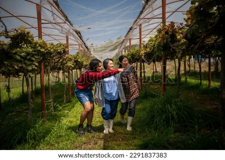 Similar – Image, Stock Photo Crop person taking grape juice in glass