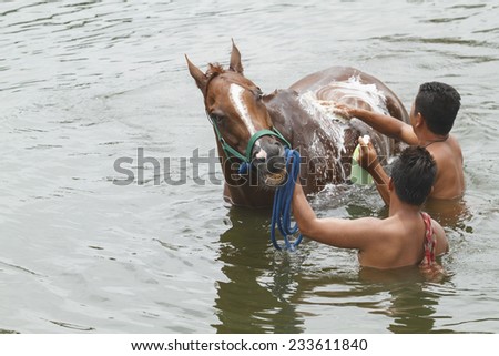 Nakhonratchasrima,Thailand - AUGUST 26  Two men cleaning and taking a bath with a horse in river on August 26, 2014 in Nakhonratchasrima,Thailand